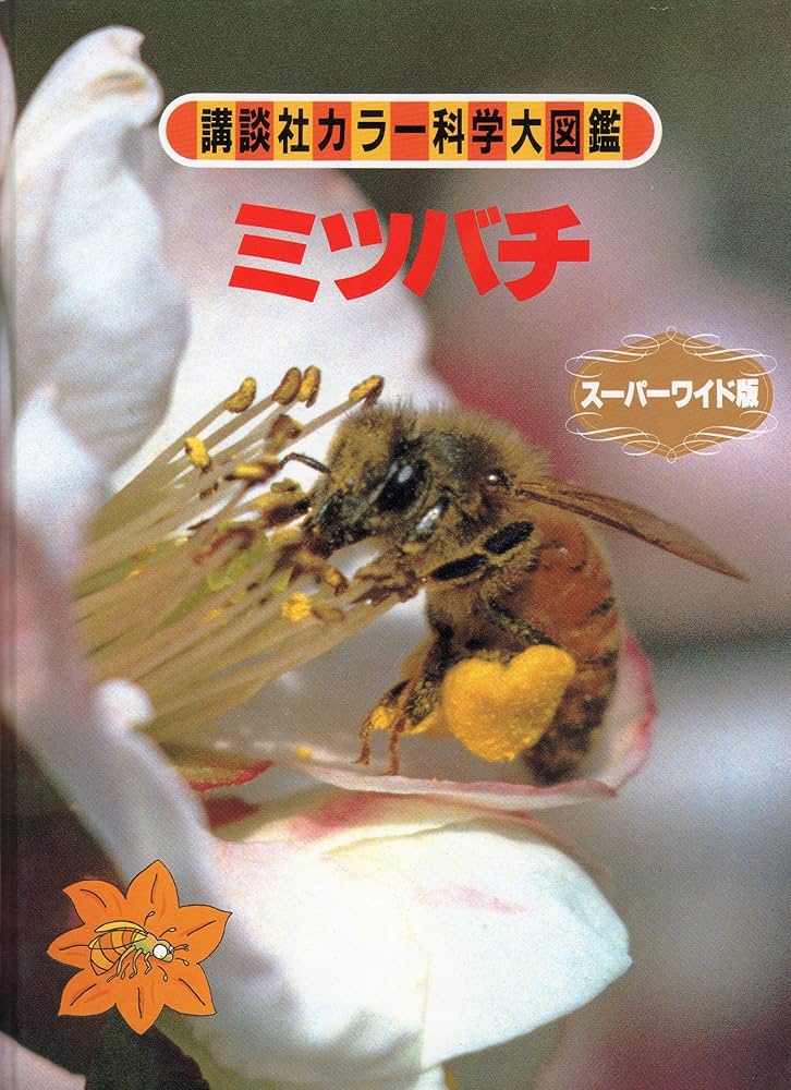 ミツバチ (講談社カラー科学大図鑑 スーパーワイド版) : Amazon.co.uk